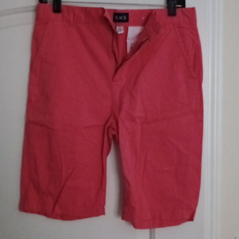 Place Boys Pink Shorts Size 16